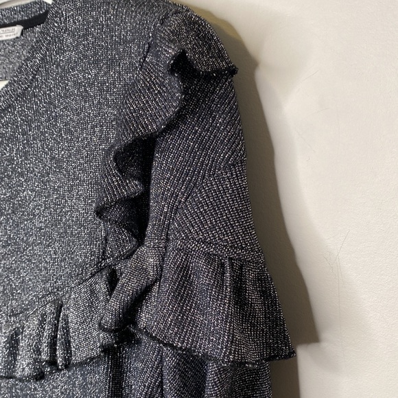 Zara Metallic Thread Ruffled Sweater - Picture 3 of 13